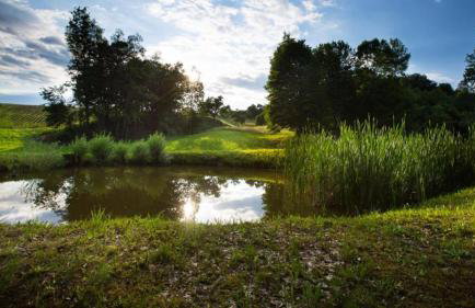 Apartman i sobe Pavek - Foto 6