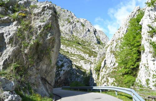 La Seronda de Redes - Foto 20