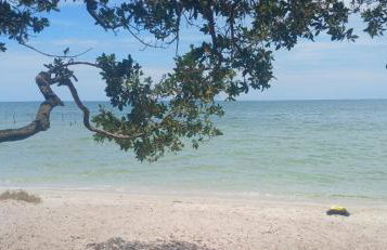 Cantinho da Lagoa - Iguaba Grande - Foto 12