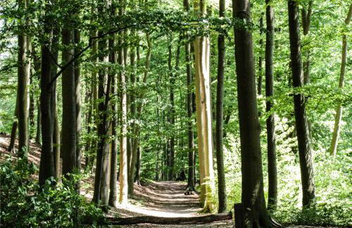 Ferienwohnung "Helden" - Foto 16