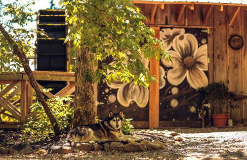 Luxury Cabin for Two with Beautiful River Views near Knoxville - Foto 18