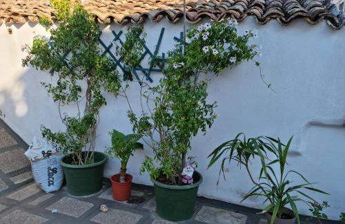 Green Palace - Foto 26