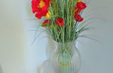 Large House, Home for Contractors- Park Free - Foto 8