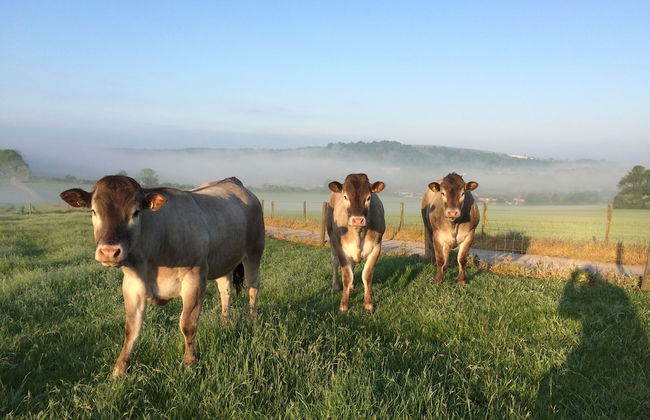 Gallops Farm Holiday Cottages - Foto 36
