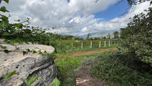 Agriturismo Barbitto - Foto 4