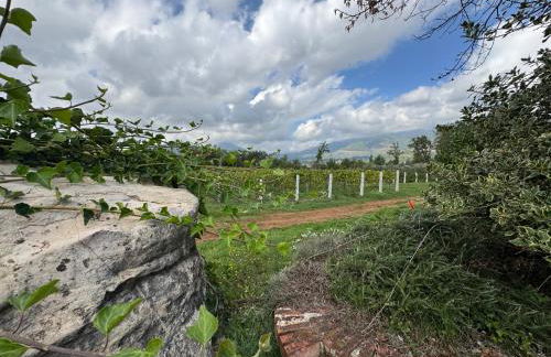 Agriturismo Barbitto - Foto 4