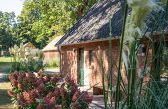 Eiche - Ferienwohnung in Dötlingen mit Waldblick - Foto 4