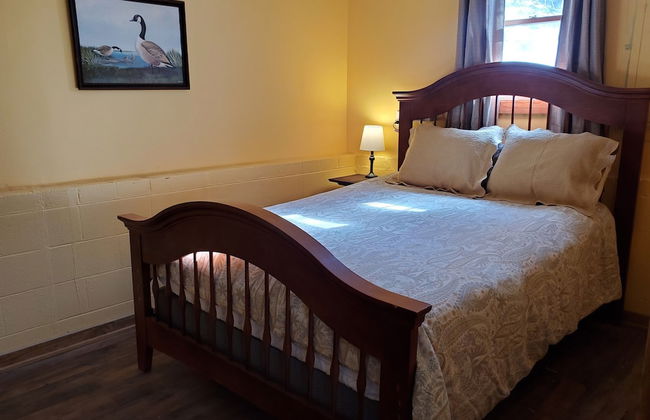 The Cabins at Healing Springs - Foto 18