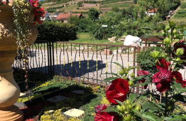 Ferienhaus mit Pool im Seußlitzer Grund - Foto 36
