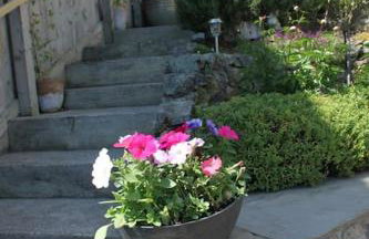 Hideaway between Coast and Moors in a beautiful Village apartment - Photo 25