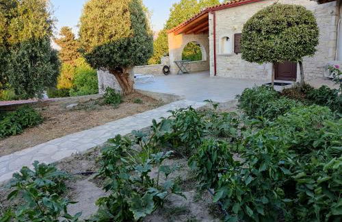 Vasiliki Villa - Foto 19