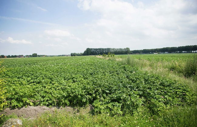 Holiday Home Near Bruges and Cadzand - Foto 32