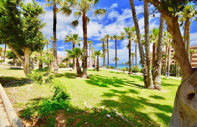 040 Kate el Coral - Alicante Real Estate - Foto 41