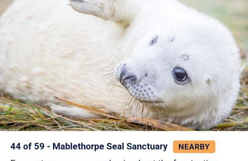 3 bed caravan with decking dishwasher en suite Haven Golden Sands - Foto 15