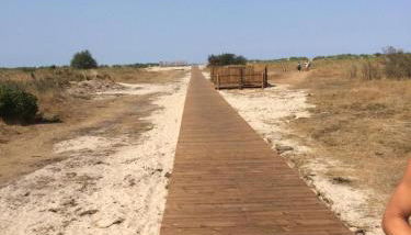 Strandmuschel - Foto 5