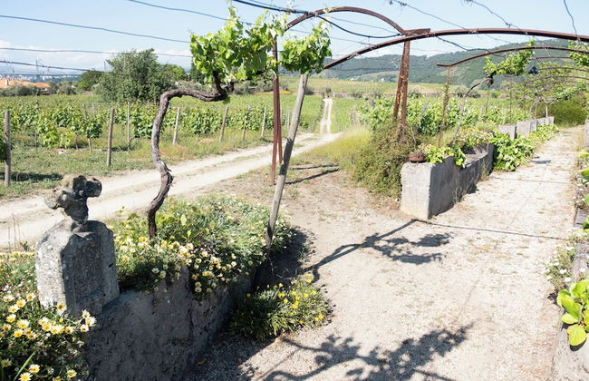 Quinta da Cumieira - Foto 25