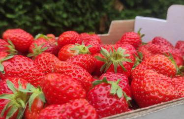 Casa de Campo - Casa da Ribeira - Foto 19