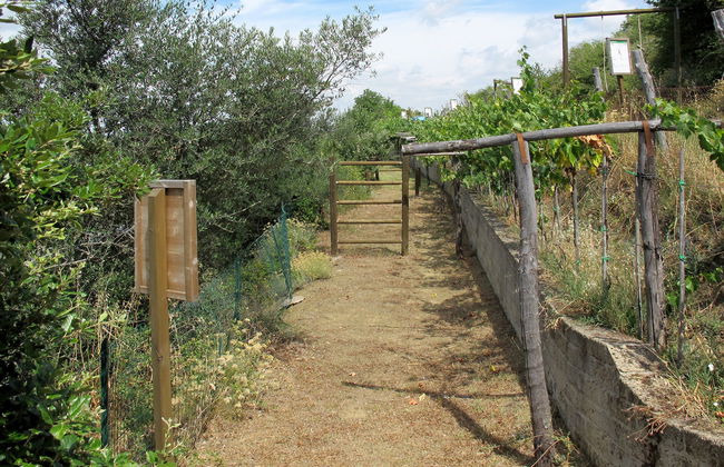 Paradiso Selvaggio - Foto 23