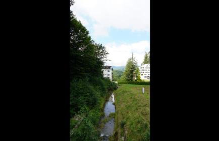 Czarodziejska Góra Kozubnik Daglezja - Foto 30