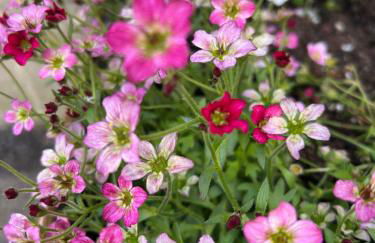 Mews apartment less than a mile from the heart of Bath - Photo 2