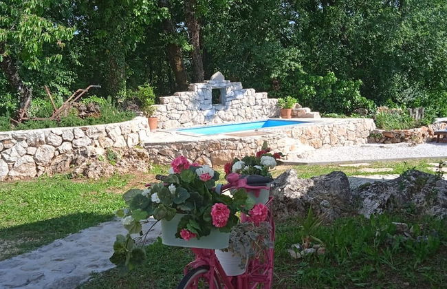 House Mali Dvori - Foto 33