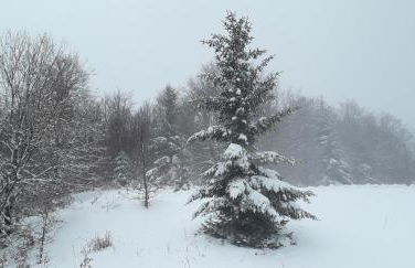 Monolocale Il Capriolo - Abetone - Foto 61