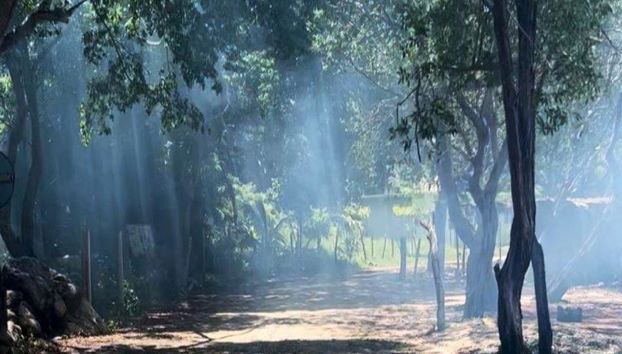 Discover the Natural Paradise of the Chacahua Lagoons - Full-Day Tour - Photo 4