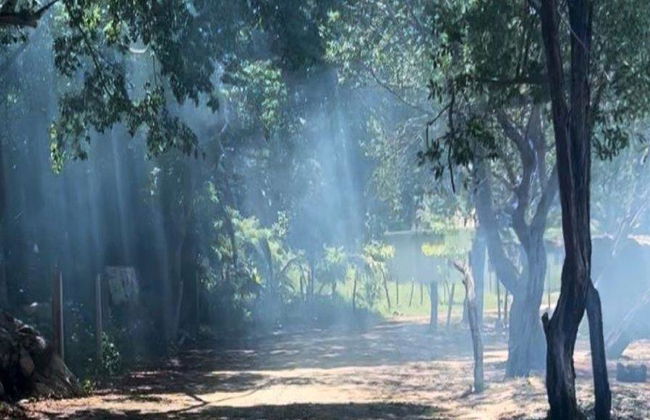 Discover the Natural Paradise of the Chacahua Lagoons - Full-Day Tour - Photo 4