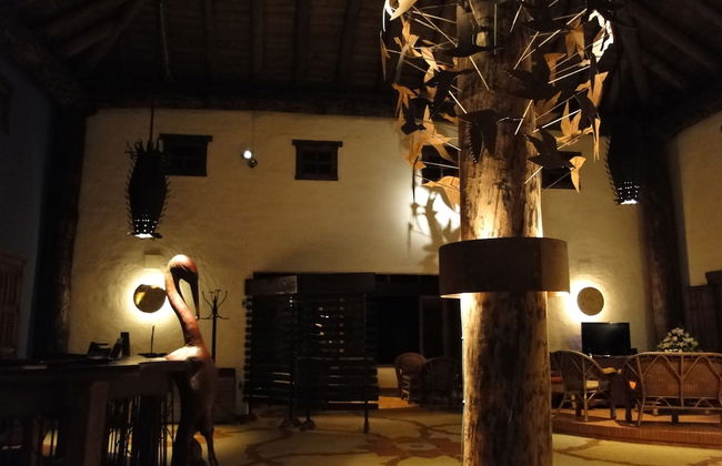 Ardea Purpurea Lodge - Photo 51