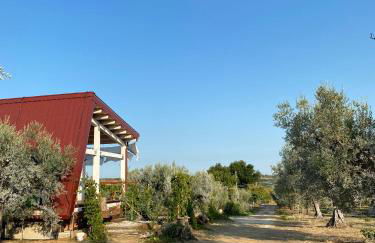 La Casa tra gli Ulivi - Cottage in legno - Foto 9