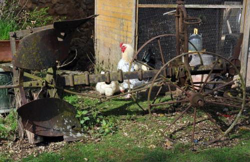 La Ferme de Flo' - Foto 22