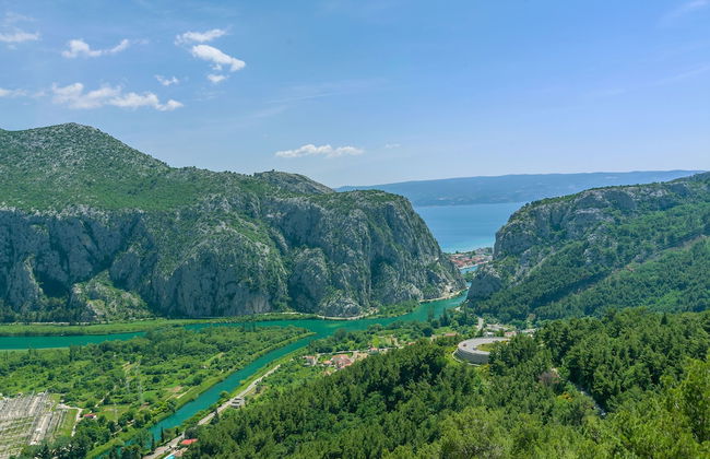 House Cattleya - Photo 36