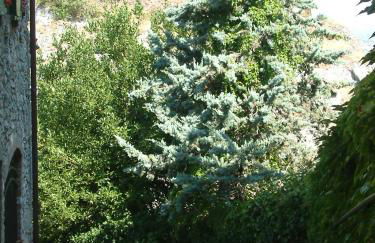 La Casa della Peggiola - Le Case Antiche - Foto 12