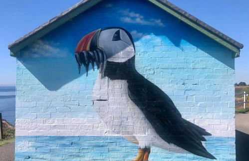 Beautiful Coastal Cottage in Pittenweem - Foto 53