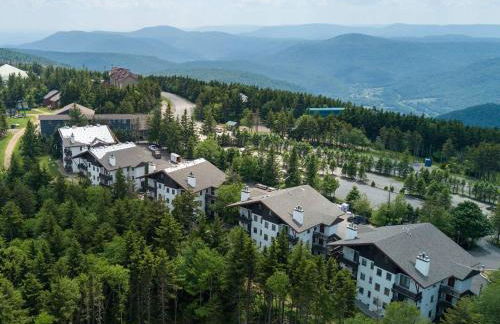 Whistlepunk 45- Modern comfort with Mountain Charm-1 bedroom - Foto 24