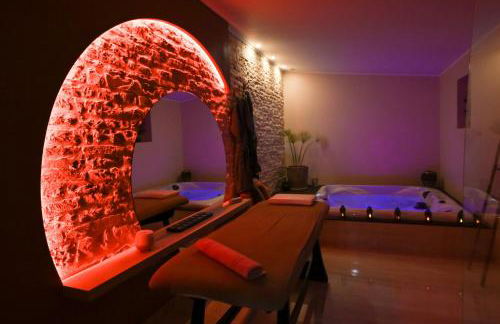 Domaine de l'Angélique - Loft avec SPA privatif - Marais poitevin entre Niort et La Rochelle - Foto 4