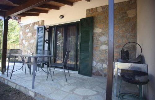 Boletus MushROOM - Foto 17