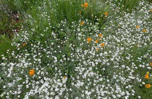 À la maison - Foto 31