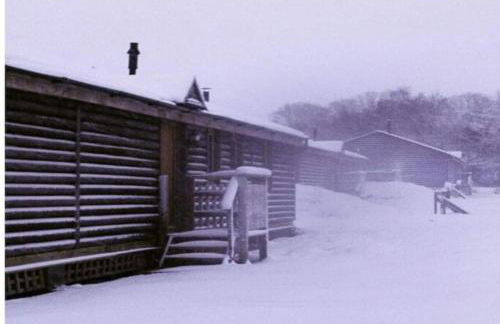 Owl Cabin - Photo 49