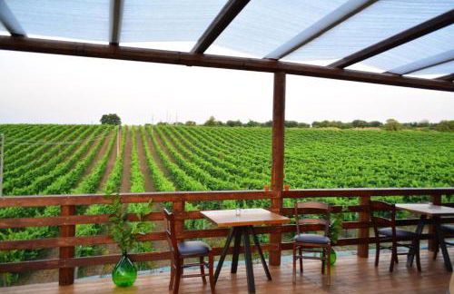 Agriturismo Tenuta Lagala - Foto 16