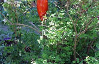 Apartment Galerie by Interhome - Foto 16