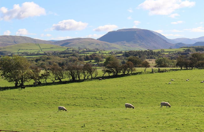 Miner's Cottage - Foto 18