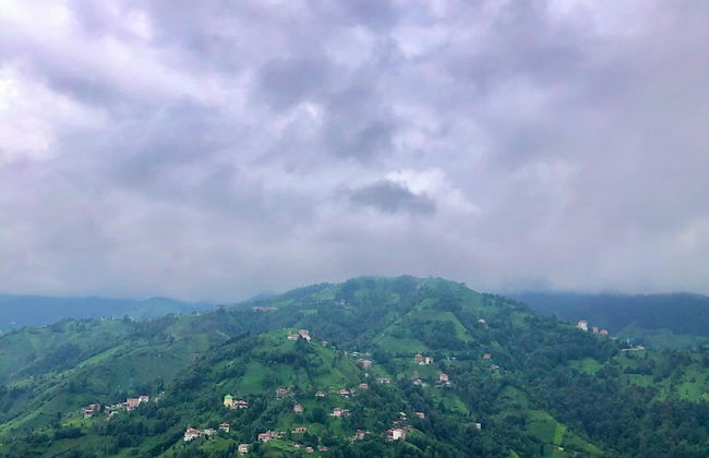 Relax Dağ Evleri - Foto 59