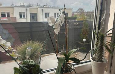 Poznań Airport Apartments Bara nowo Business - Foto 26