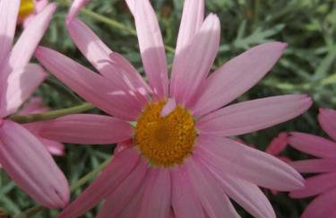 Chałpa na skarpie - Foto 33