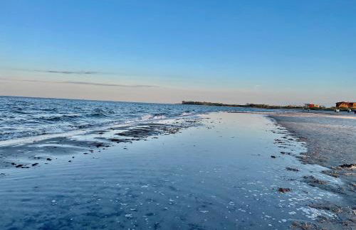 Hühnerstall Lüttenhof - Foto 31