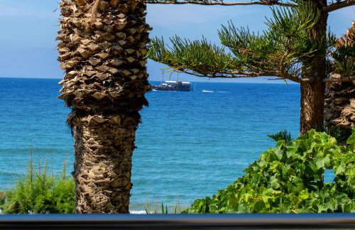 White Pearl - Foto 80