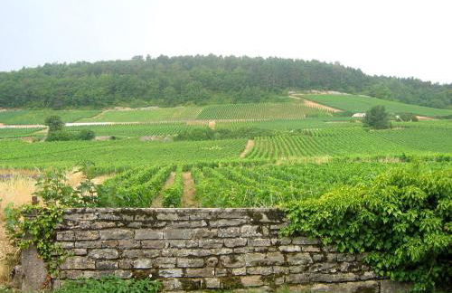 Le Richebourg - Charmant T2 Cosy, tout confort - Foto 64