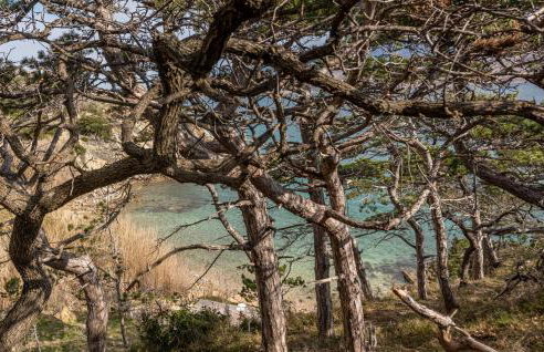 Nice Apartment In Novalja With Kitchen - Photo 8