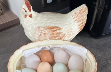 Maneight Luxury Lodge with hot tub - Foto 18